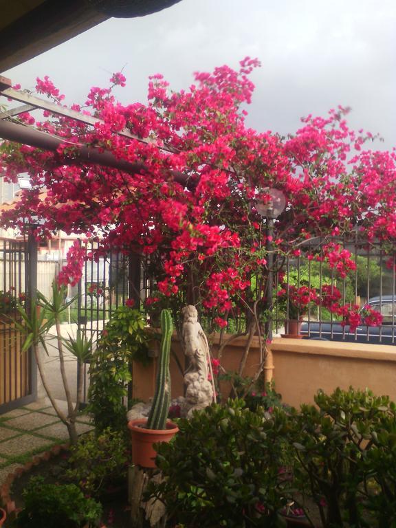 Domus Felix Bed & Breakfast Ercolano Exterior photo