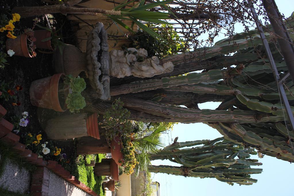 Domus Felix Bed & Breakfast Ercolano Exterior photo